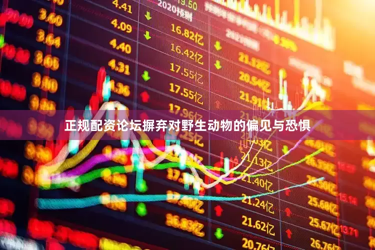 正规配资论坛摒弃对野生动物的偏见与恐惧