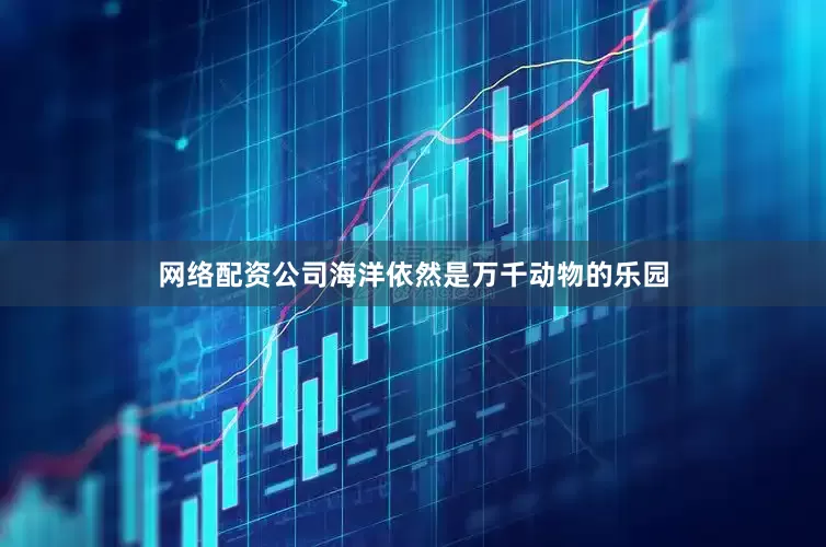 网络配资公司海洋依然是万千动物的乐园