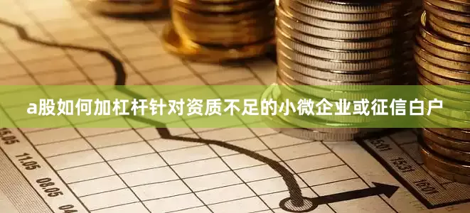 a股如何加杠杆针对资质不足的小微企业或征信白户